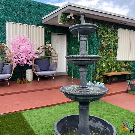 Summer Gardens Wynwood Concept